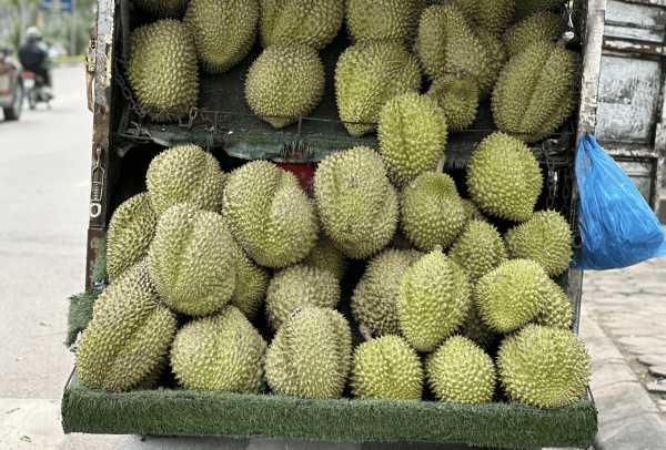 Lần đầu tiên sau 4 năm, mọi ng